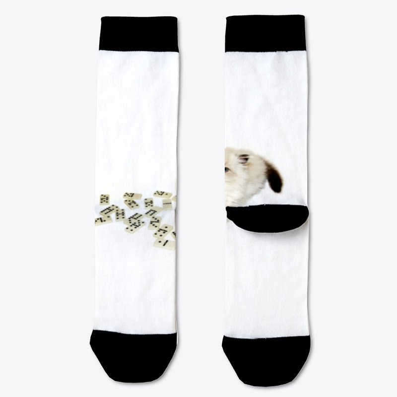 cat design 