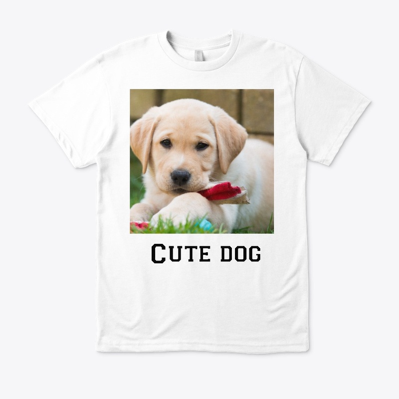 Cute dog