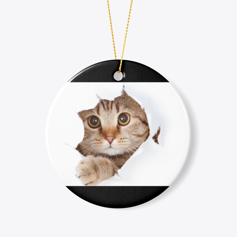 Cate come 