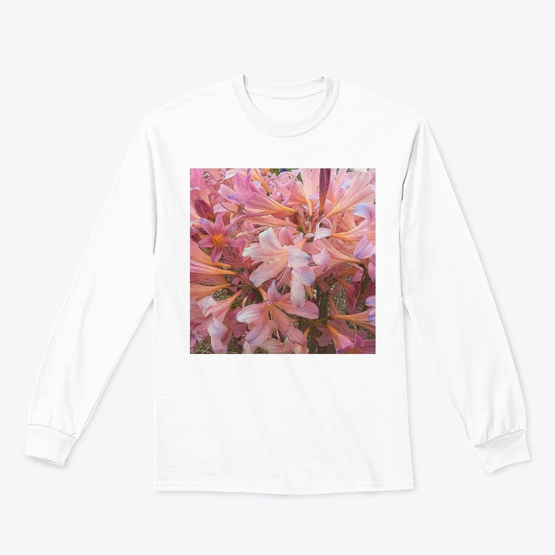 Pink Amaryllis