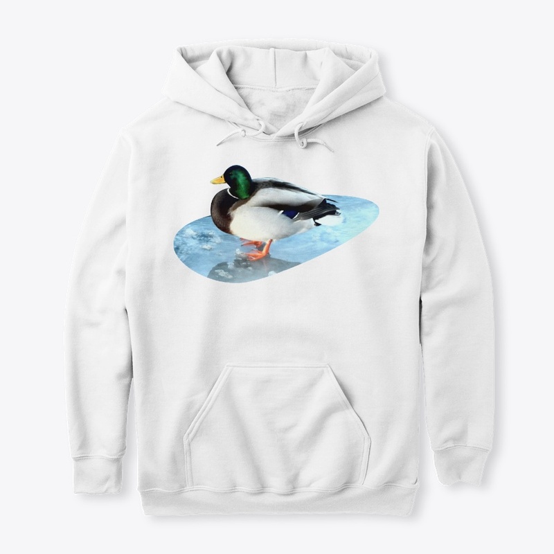 Ducks sit on the ice and swim 