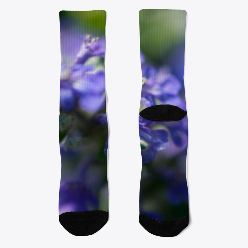 Blue and purple flowers in nature