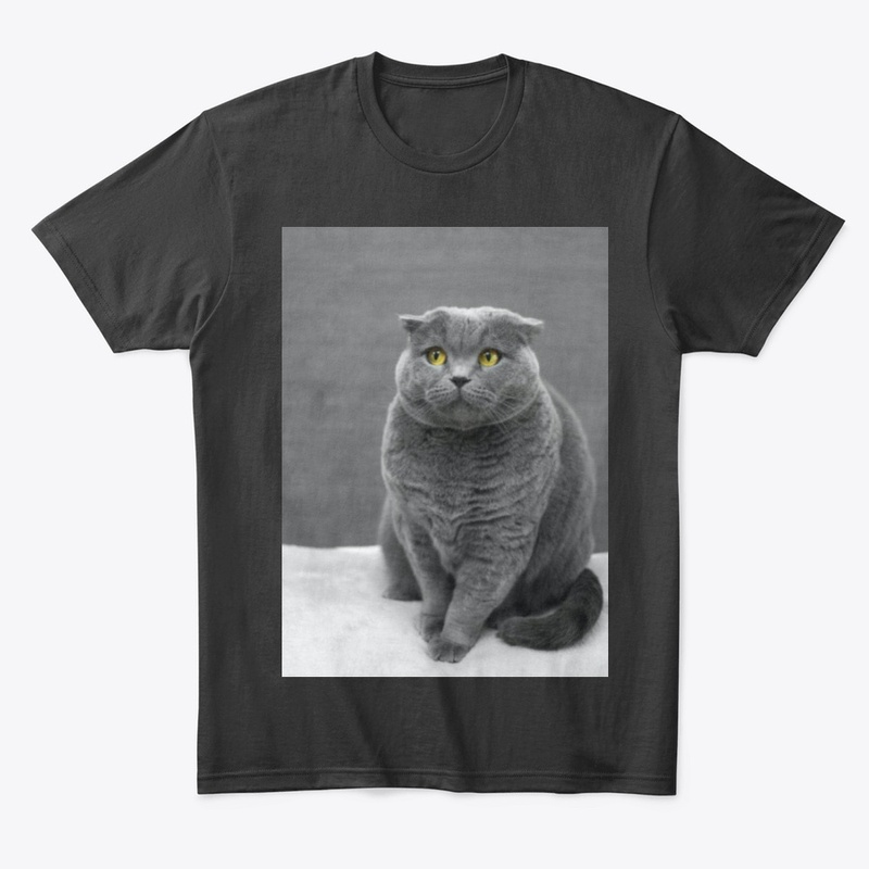 I LOVE MY CAT