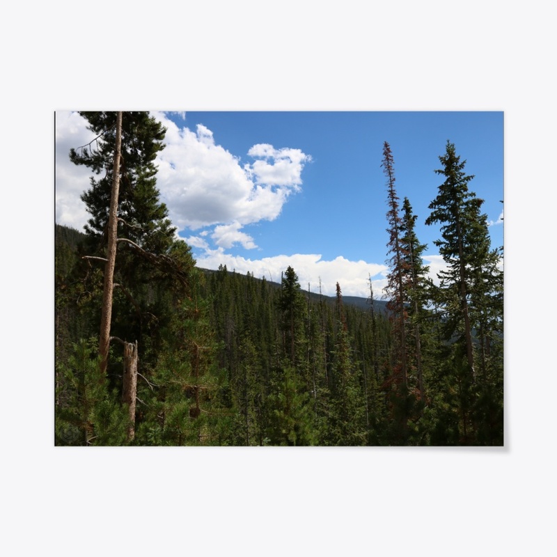 Colorado 24