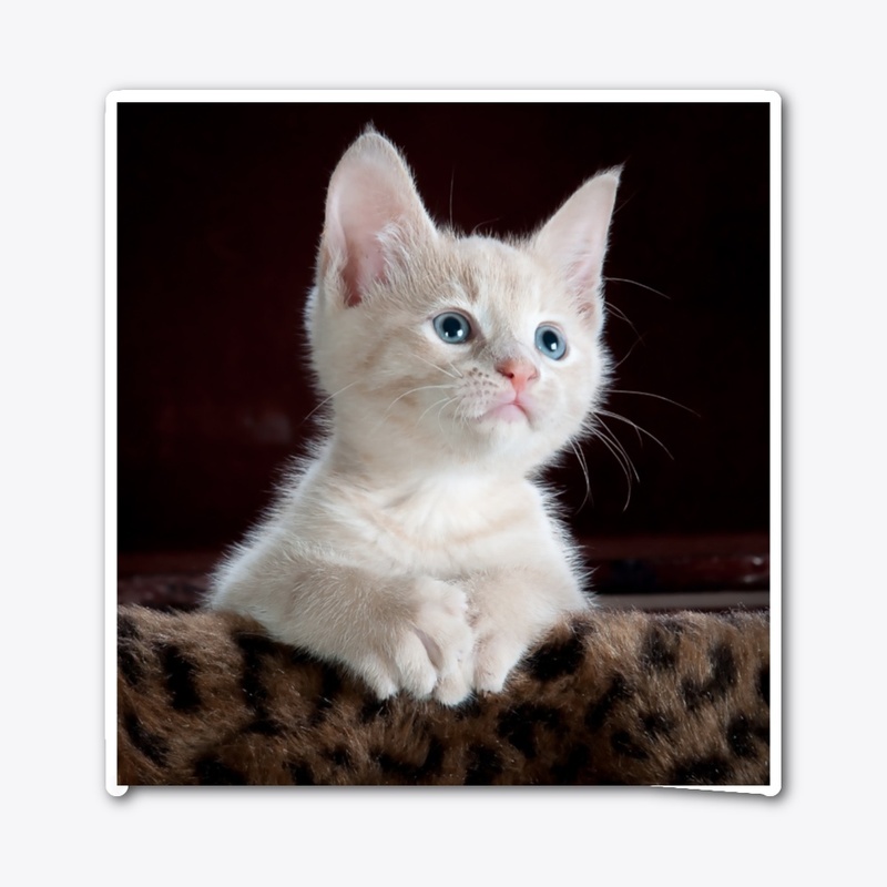 Funny cat printed products