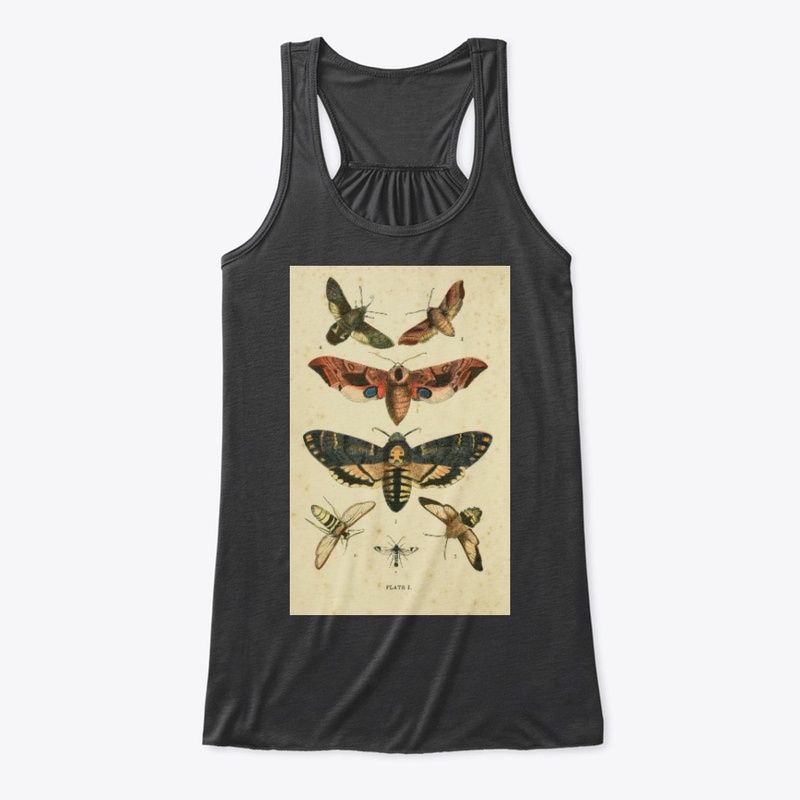 moths of england