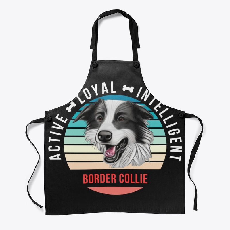 Border Collie - Active, Loyal