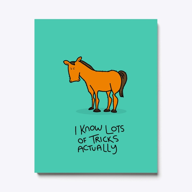 Grumpy Pony