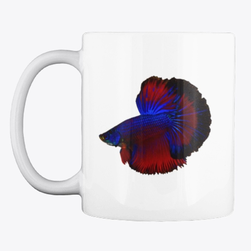 Betta Fish