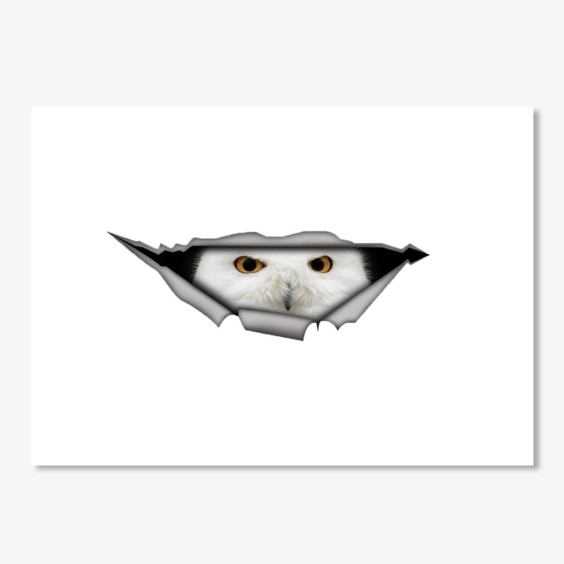 White Owl sticker