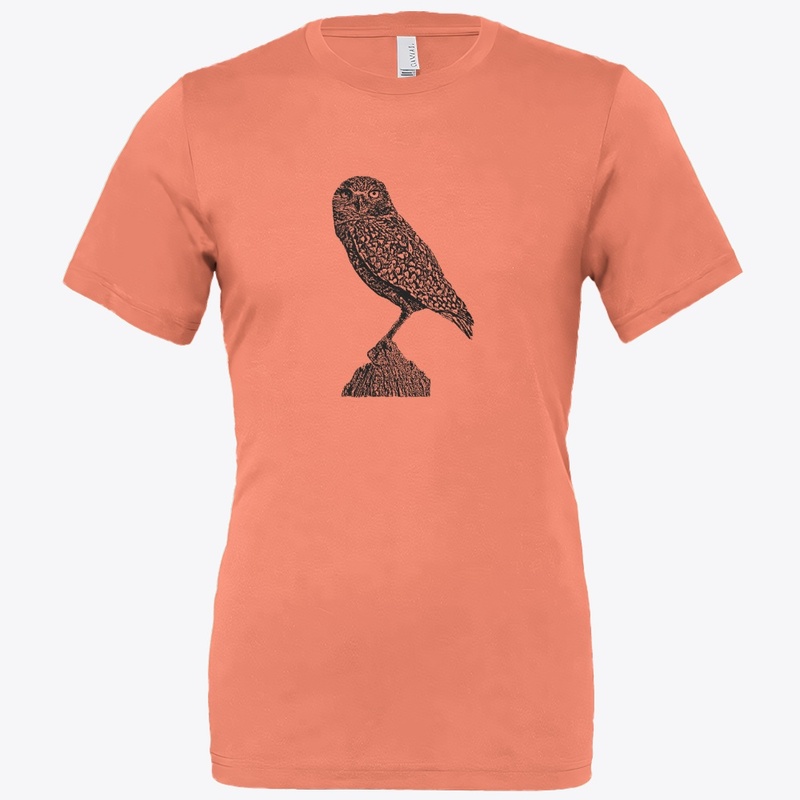 Burrowing Owl