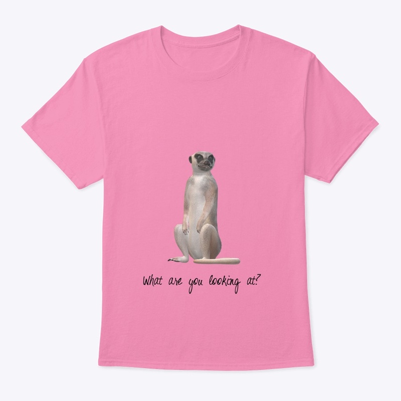 Meerkat shirt, what are you looking at??