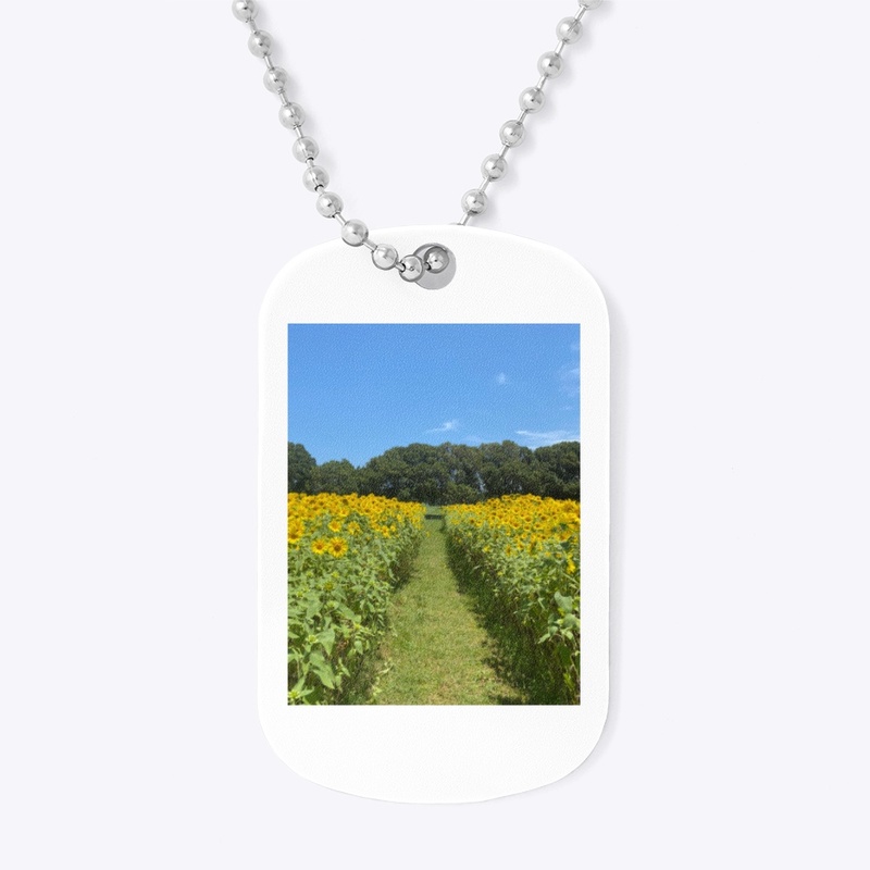 Sunflower Fields 