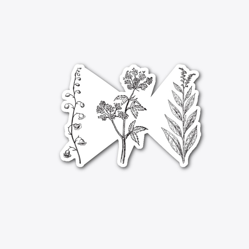 Casual Plants