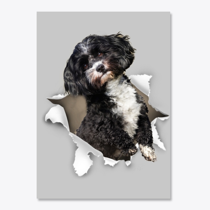 Havanese Torn Paper