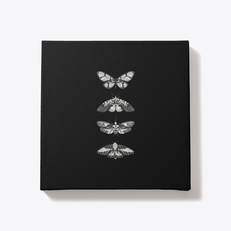 Butterfly and friends