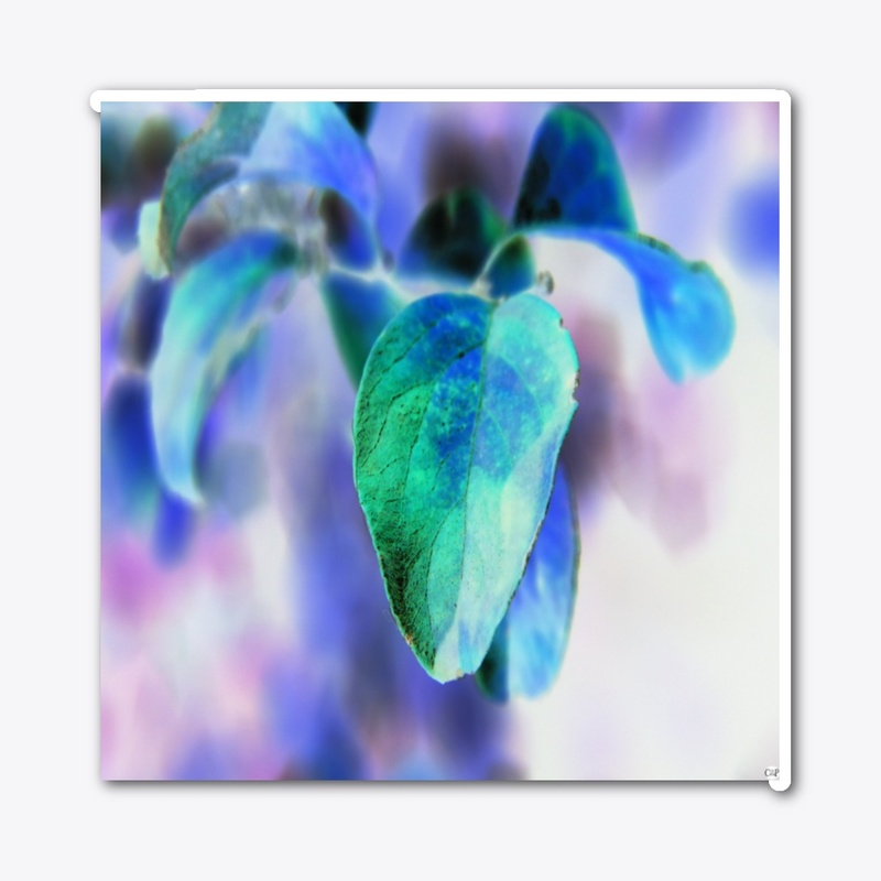 blue green leaf macro