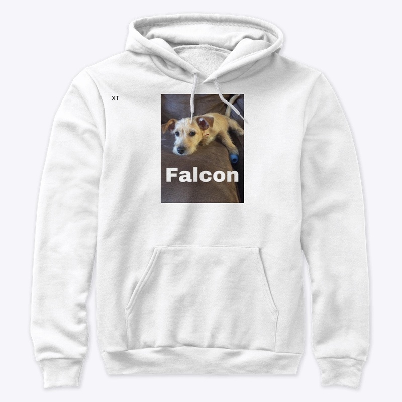 Falcon hoodie 