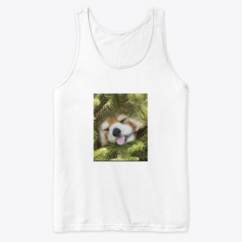 Sleeping panda