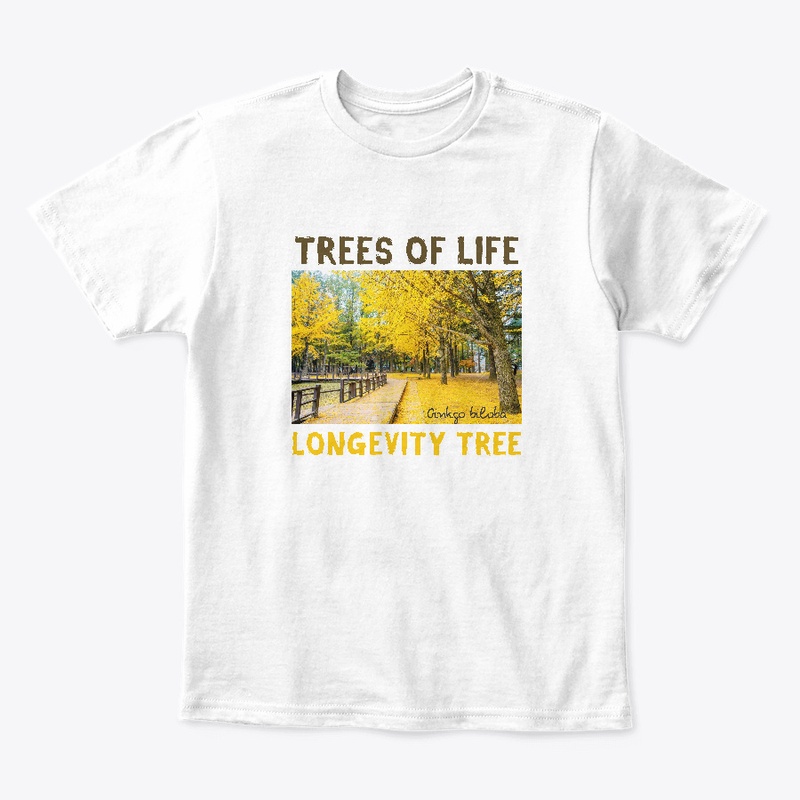 TREES of LIFE: GINKGO/LONGEVITY TREE