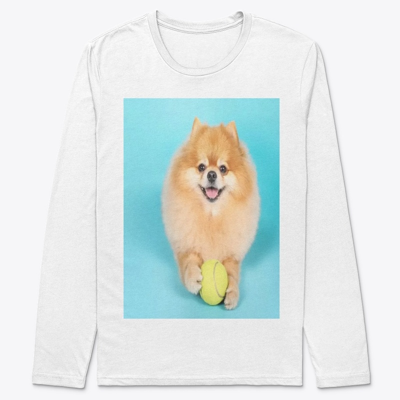 cute dog