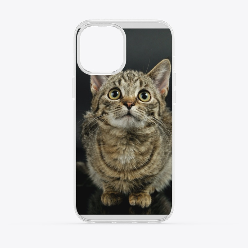 Cute Cat 