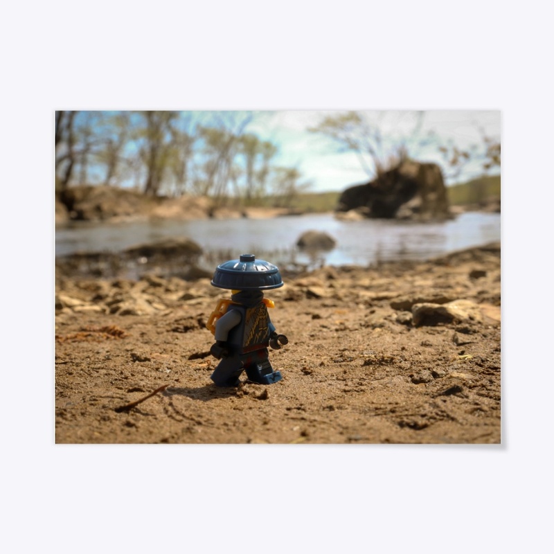 "Rogue" LANDSCAPE