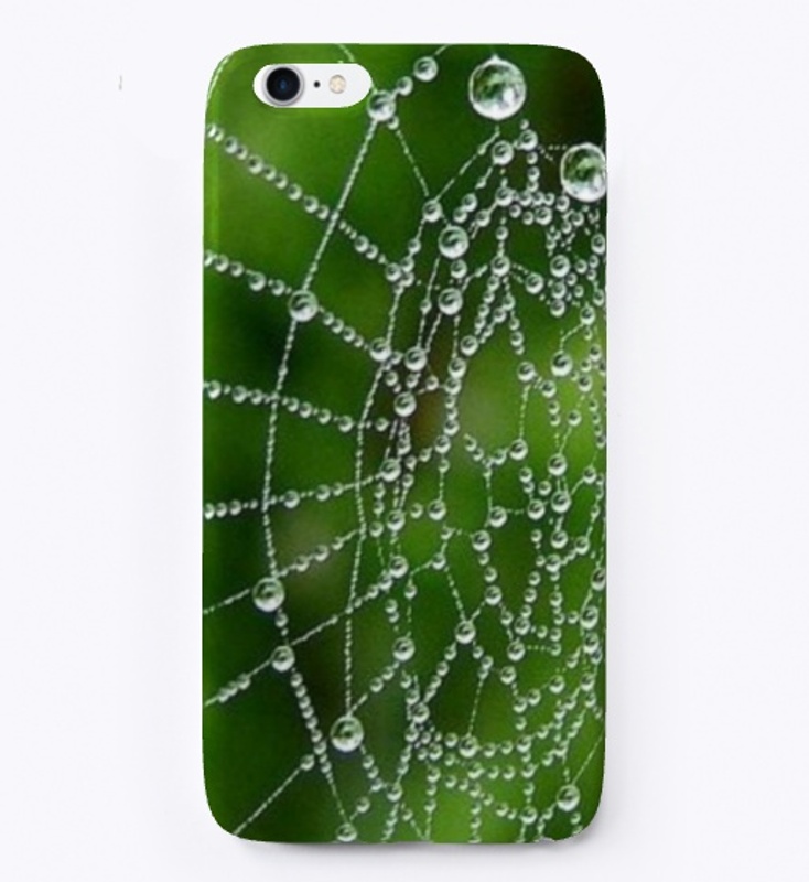 Spider Web With Drops Of Water design