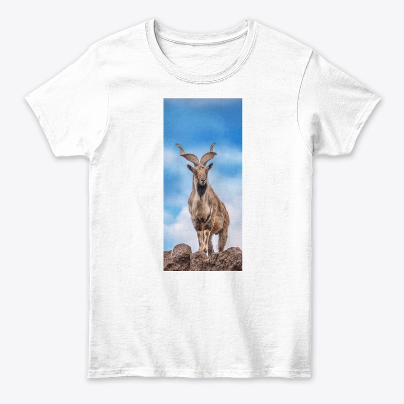 Markhor design 