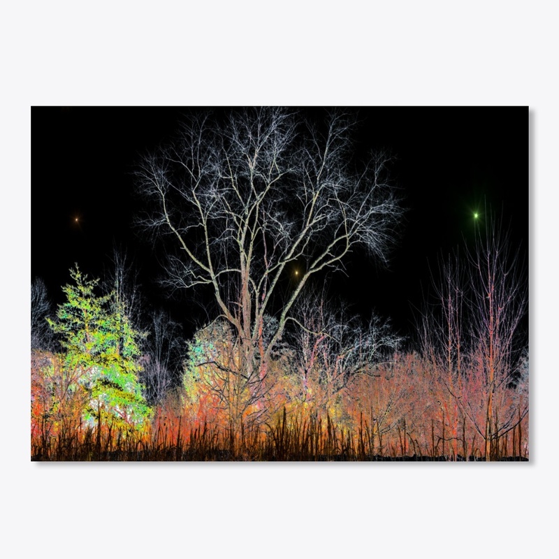 neon trees at night