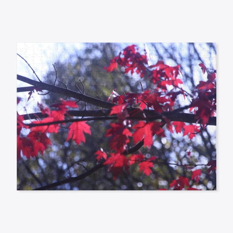 Autumn Leaves 1 