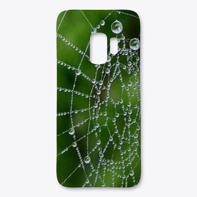 Spider Web With Drops Of Water design