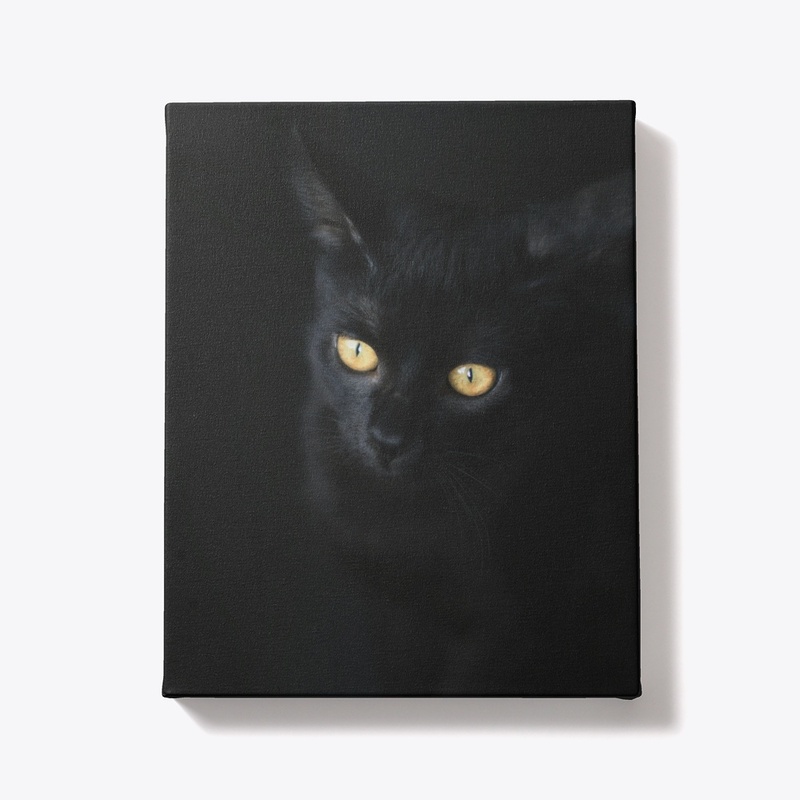 "Midnight Whiskers Hoodie"