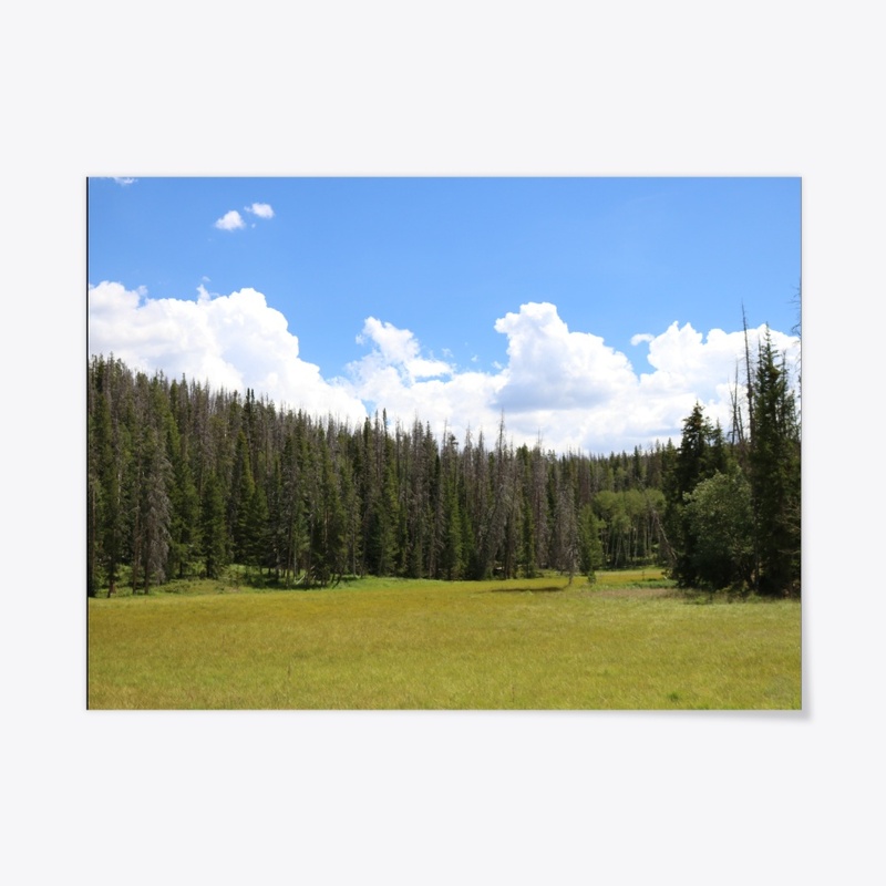 Colorado 18