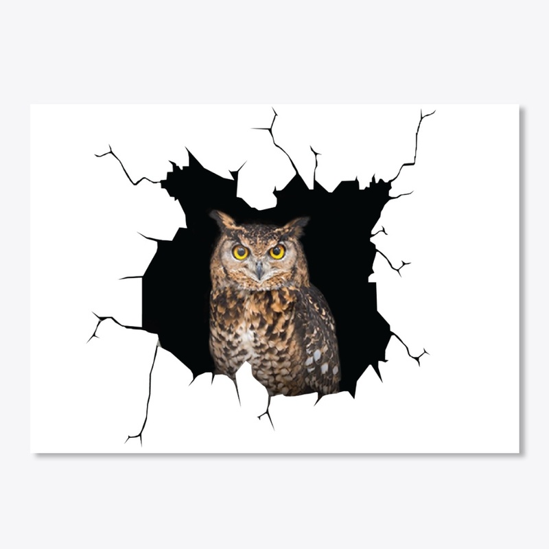 Funny Owl