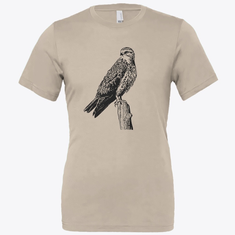 Birdwatching- Swainson's Hawk