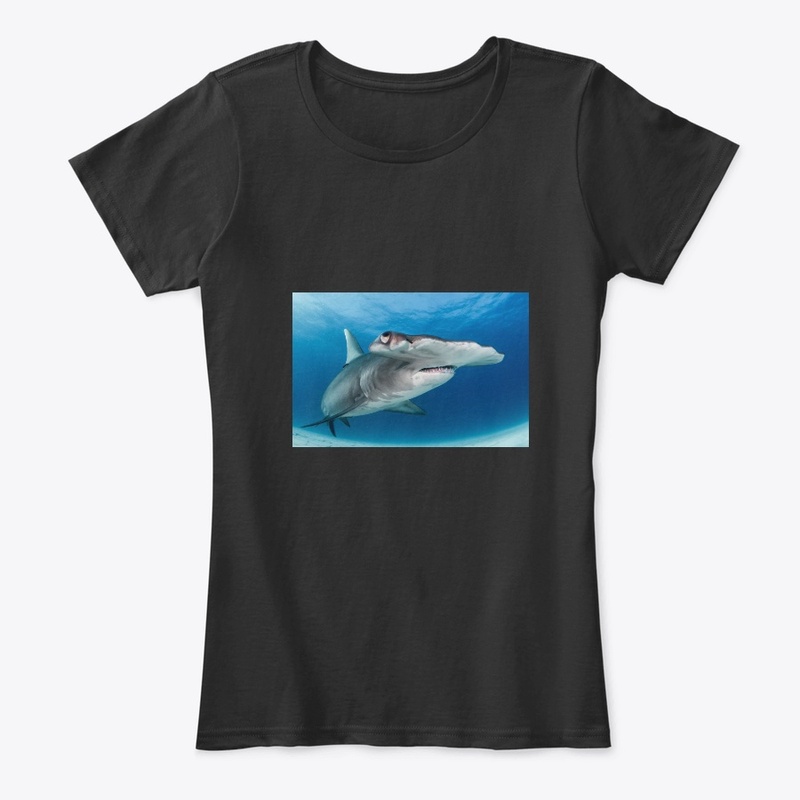 GREAT HAMMERHEAD SHARK MERCHANDISE!