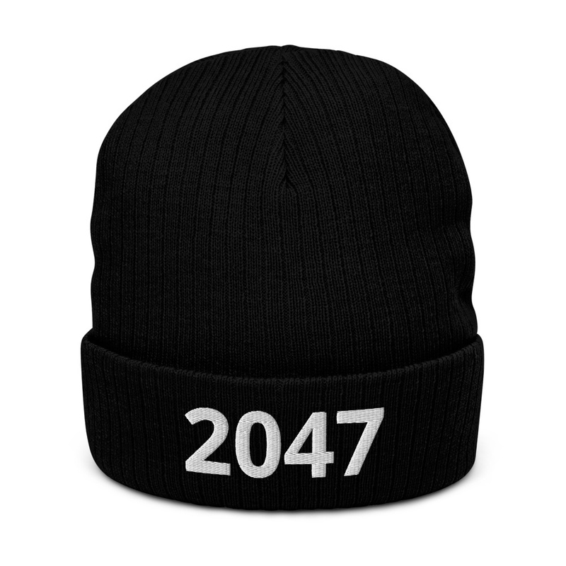 2047 beanie hat
