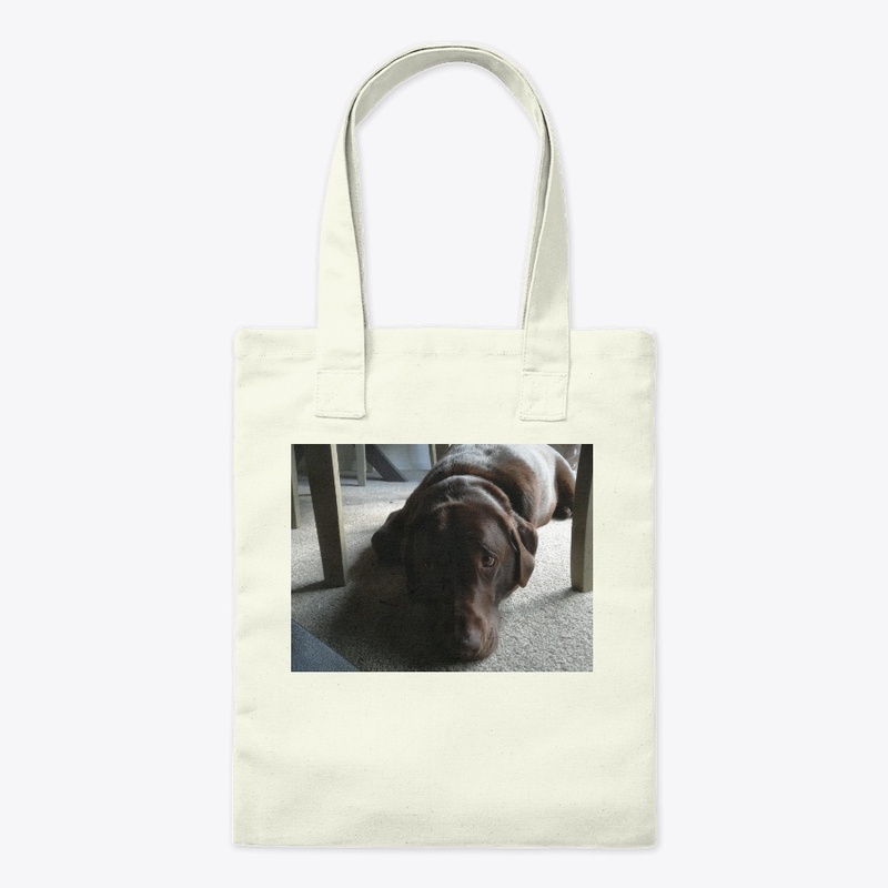 Labrador