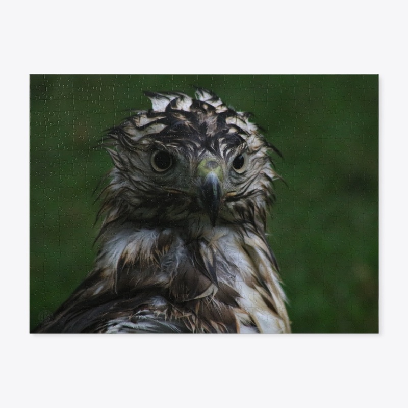 Hawk 1