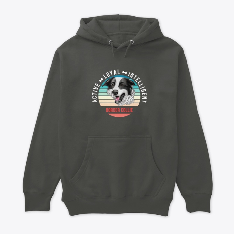 Border Collie - Active, Loyal