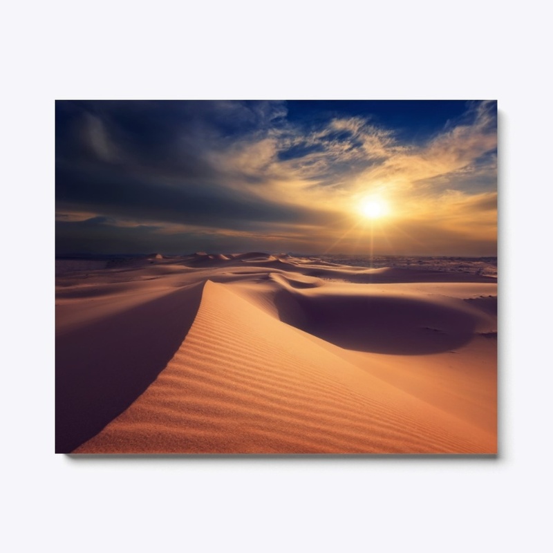 Sand dunes in the sunshine