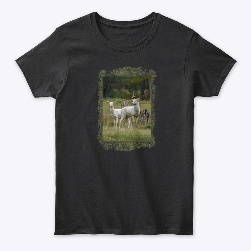 Pure Wildlife Lovers: White Fallow Deer