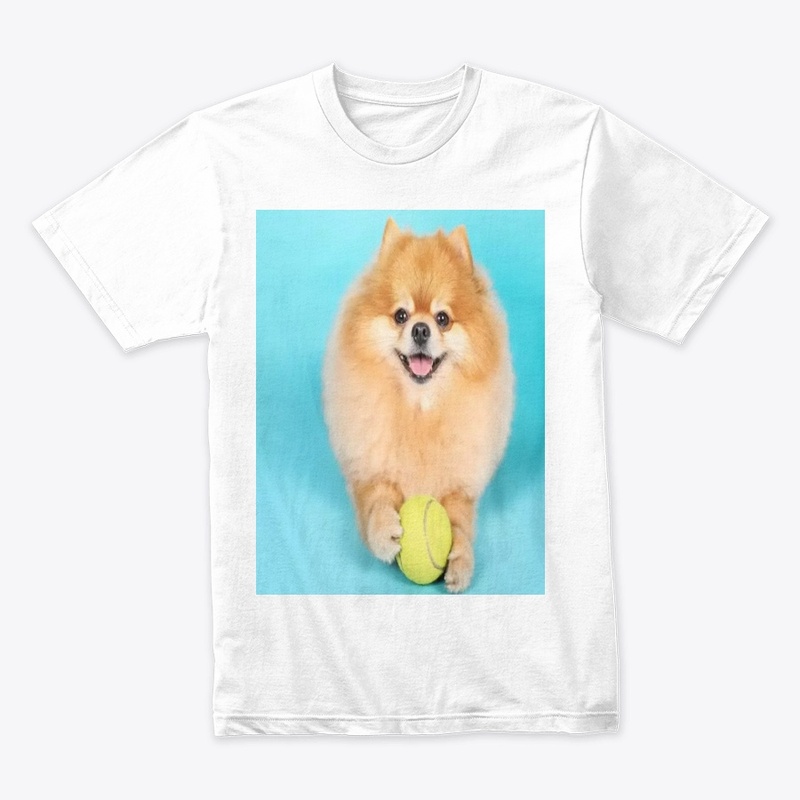 cute dog