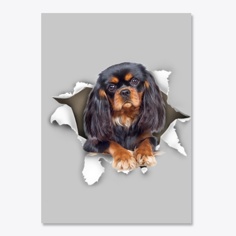 King Charles Spaniel Torn Paper