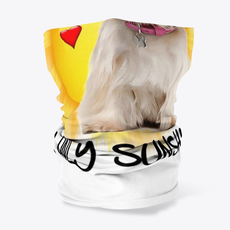 Shih Tzu Sunshine