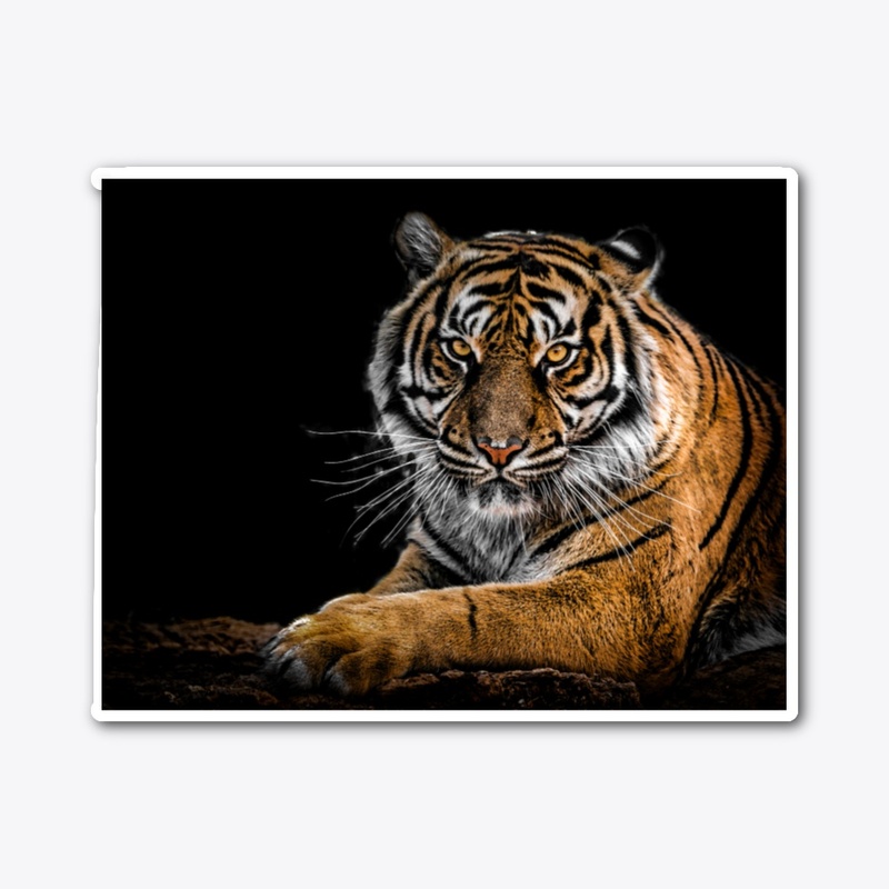 Lion Inside