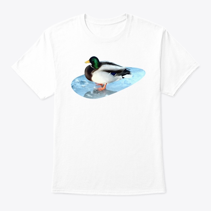 Ducks sit on the ice and swim 