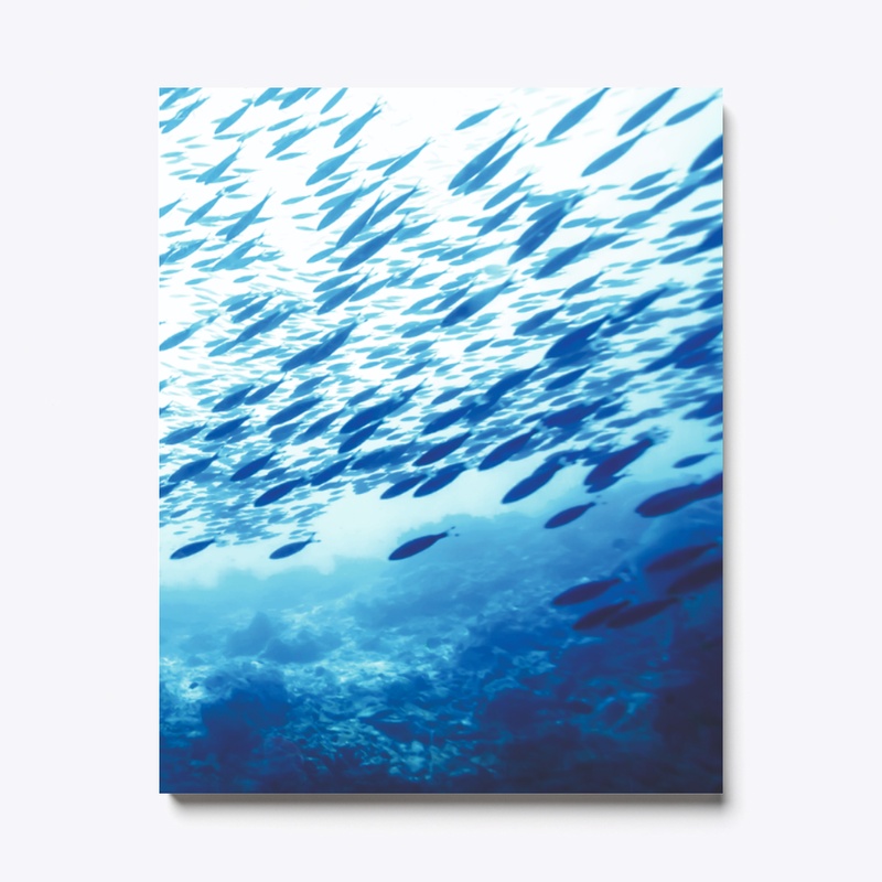 The Sea for all