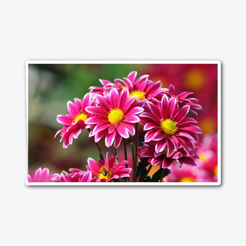FLORES